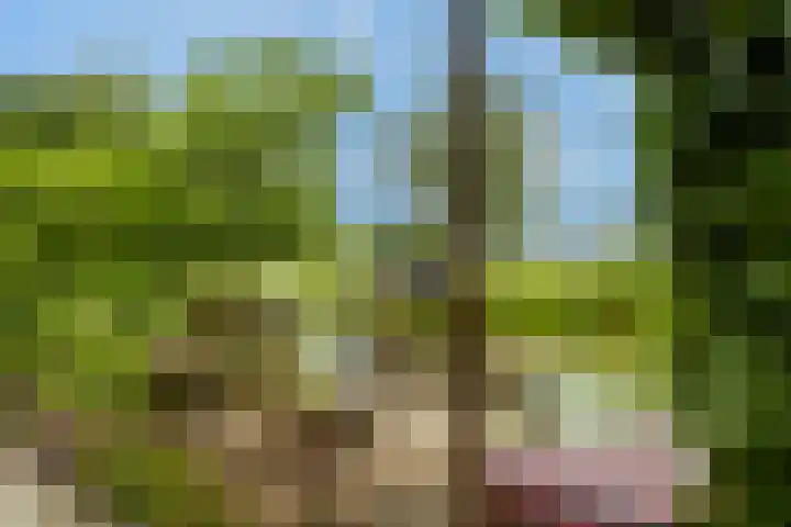Hoofdweg 122 Zegveld thumbnail 28