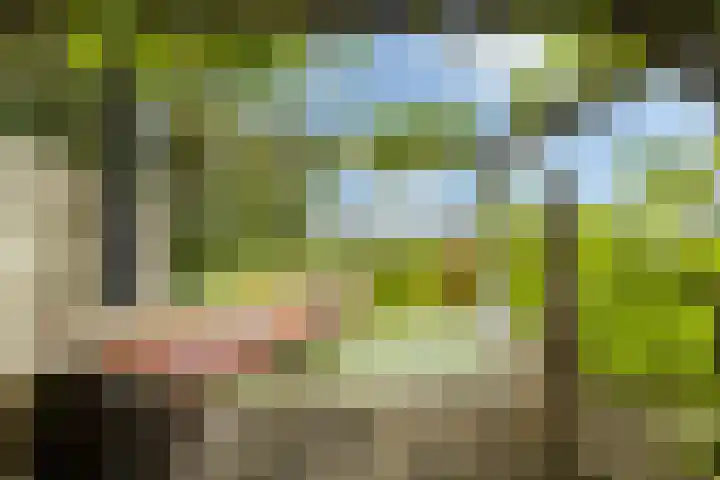 Hoofdweg 122 Zegveld thumbnail 30