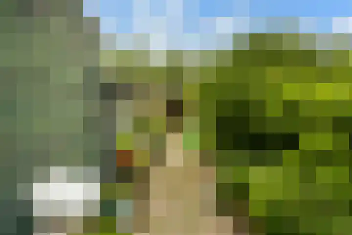 Hoofdweg 122 Zegveld thumbnail 31
