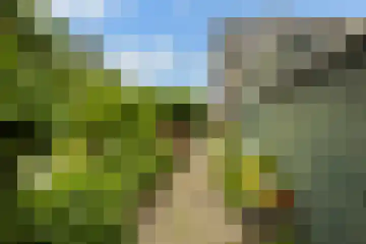 Hoofdweg 122 Zegveld thumbnail 32