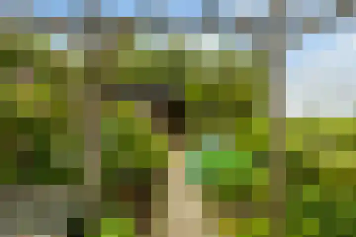 Hoofdweg 122 Zegveld thumbnail 33