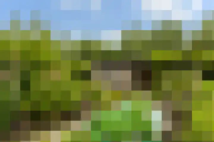 Hoofdweg 122 Zegveld thumbnail 34
