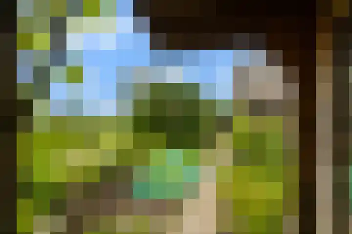 Hoofdweg 122 Zegveld thumbnail 35
