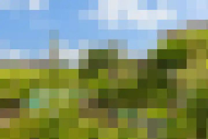 Hoofdweg 122 Zegveld thumbnail 36