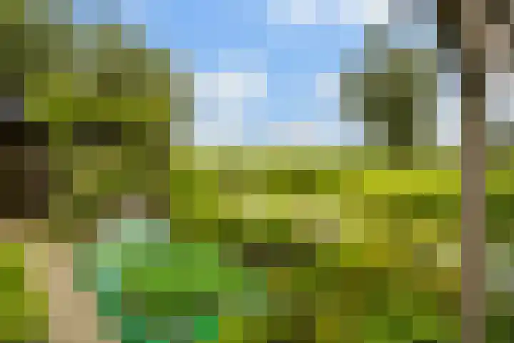 Hoofdweg 122 Zegveld thumbnail 37