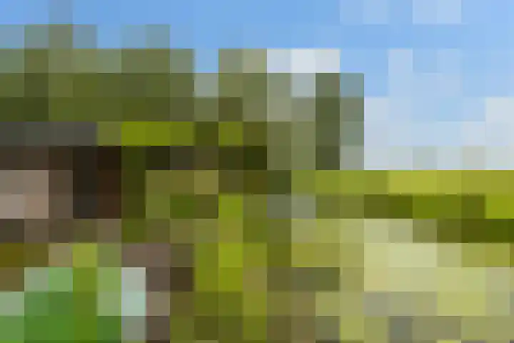 Hoofdweg 122 Zegveld thumbnail 38