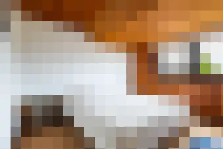 Hoofdweg 122 Zegveld thumbnail 40