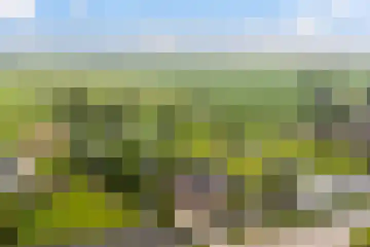 Hoofdweg 122 Zegveld thumbnail 44