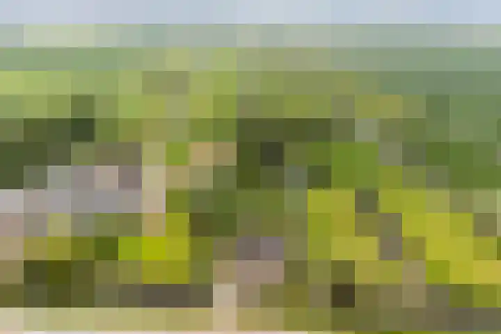 Hoofdweg 122 Zegveld thumbnail 45