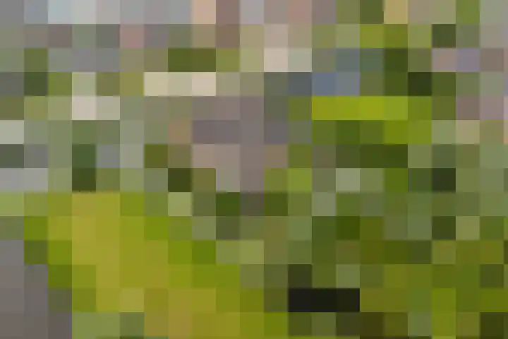 Hoofdweg 122 Zegveld thumbnail 46