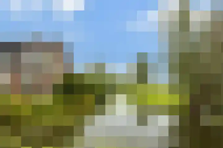 Hoofdweg 122 Zegveld thumbnail 48