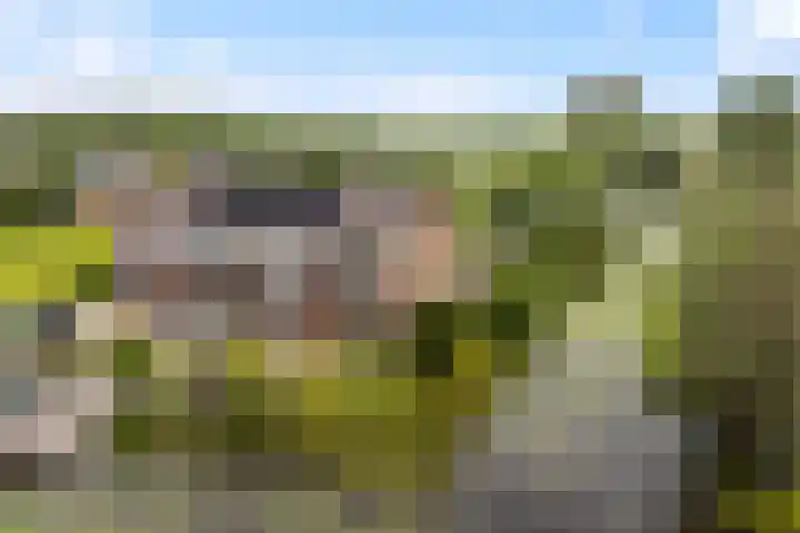 Hoofdweg 122 Zegveld thumbnail 5