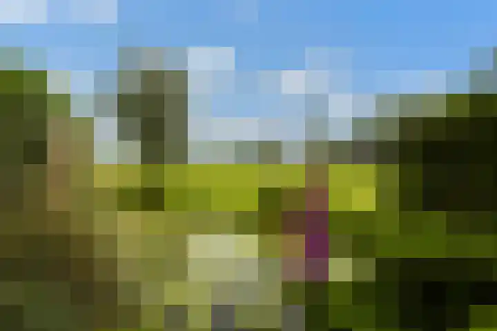 Hoofdweg 122 Zegveld thumbnail 50