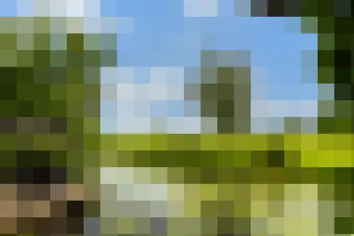 Hoofdweg 122 Zegveld thumbnail 51
