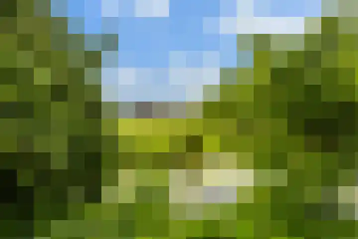 Hoofdweg 122 Zegveld thumbnail 52