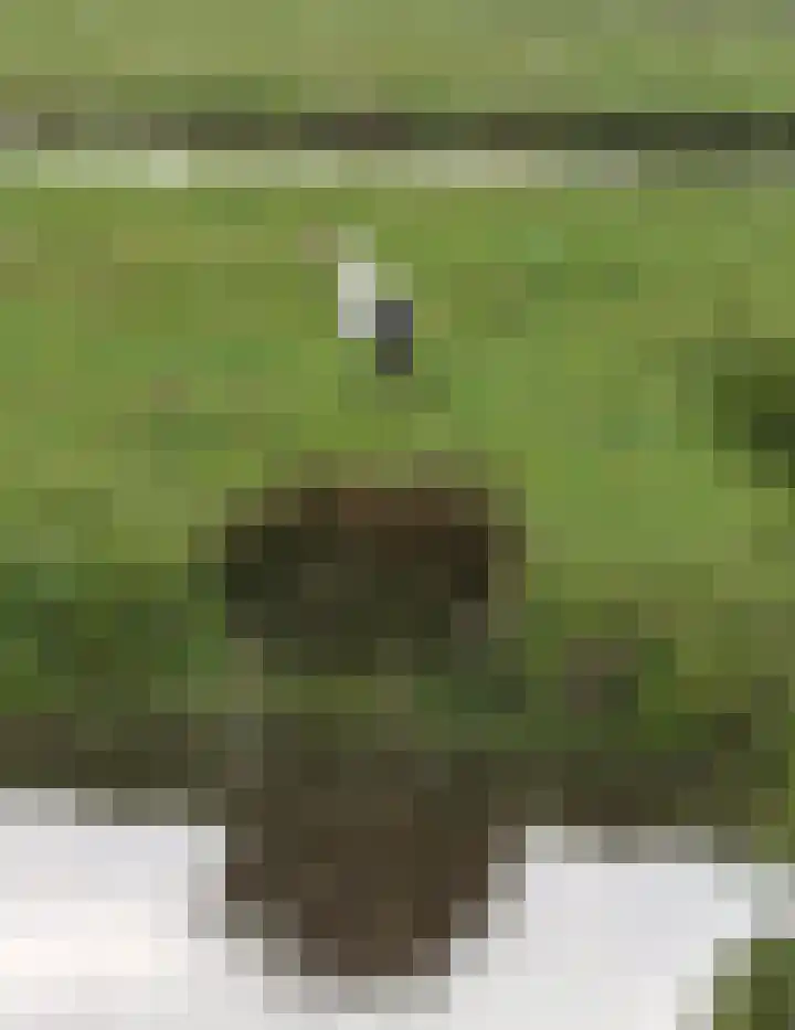 Hoofdweg 122 Zegveld thumbnail 53