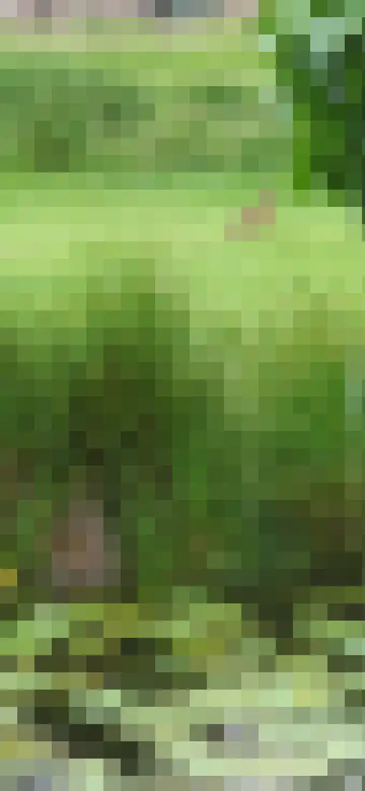 Hoofdweg 122 Zegveld thumbnail 56