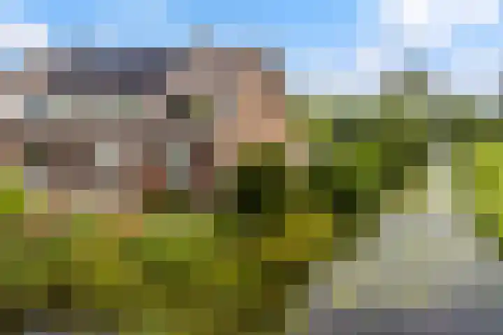 Hoofdweg 122 Zegveld thumbnail 6