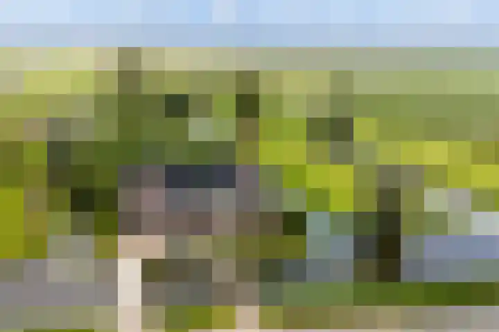 Hoofdweg 122 Zegveld thumbnail 62