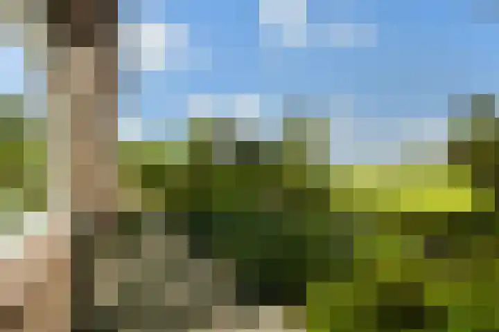 Hoofdweg 122 Zegveld thumbnail 8