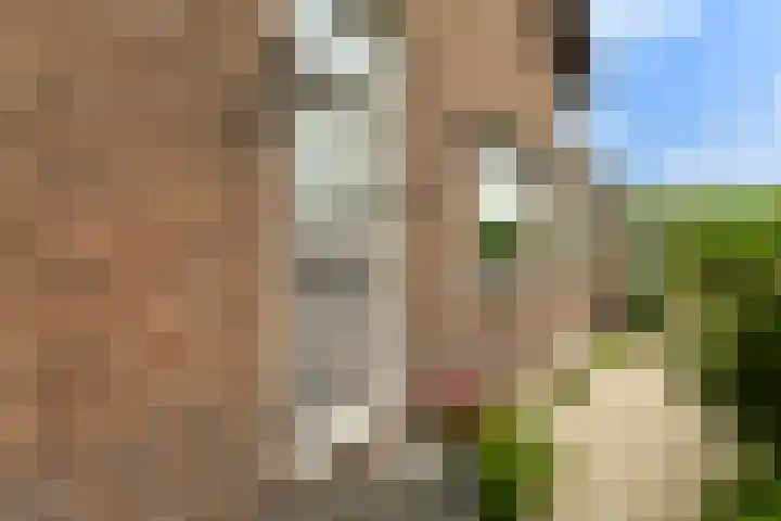 Hoofdweg 122 Zegveld thumbnail 9