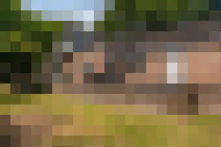 Hoofdweg 124 Bellingwolde thumbnail 10