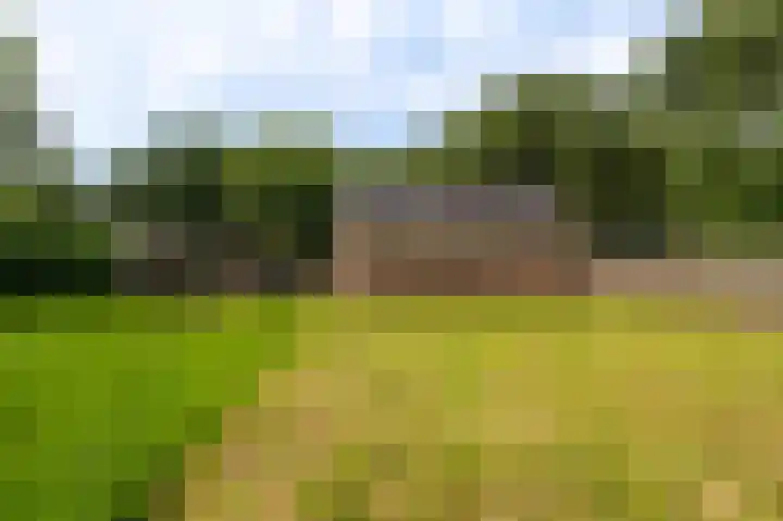 Hoofdweg 124 Bellingwolde thumbnail 12