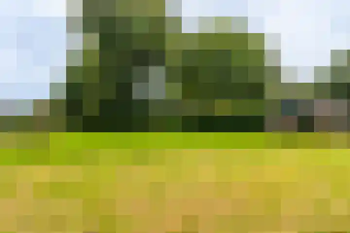 Hoofdweg 124 Bellingwolde thumbnail 13