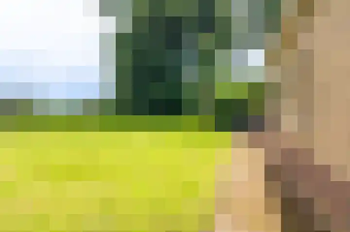 Hoofdweg 124 Bellingwolde thumbnail 15