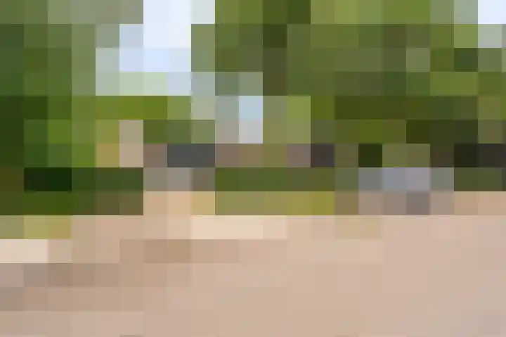 Hoofdweg 124 Bellingwolde thumbnail 17