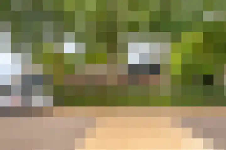 Hoofdweg 124 Bellingwolde thumbnail 18