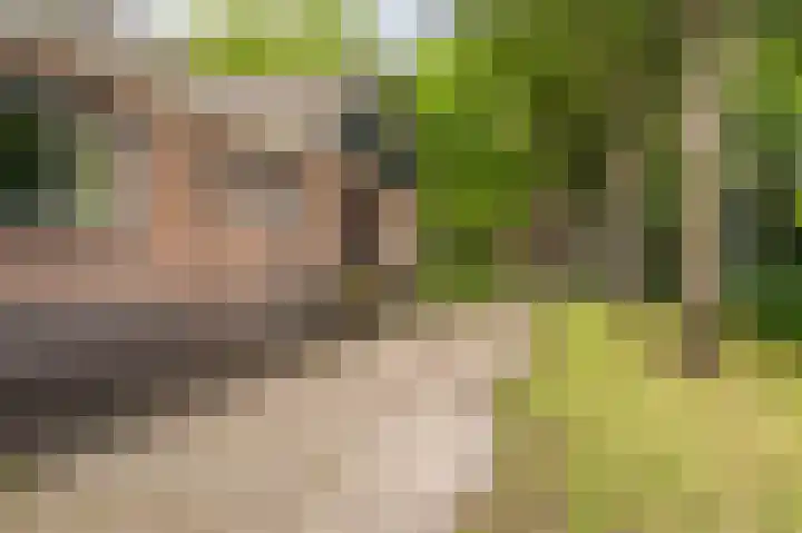 Hoofdweg 124 Bellingwolde thumbnail 19