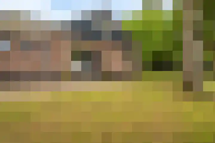 Hoofdweg 124 Bellingwolde thumbnail 20