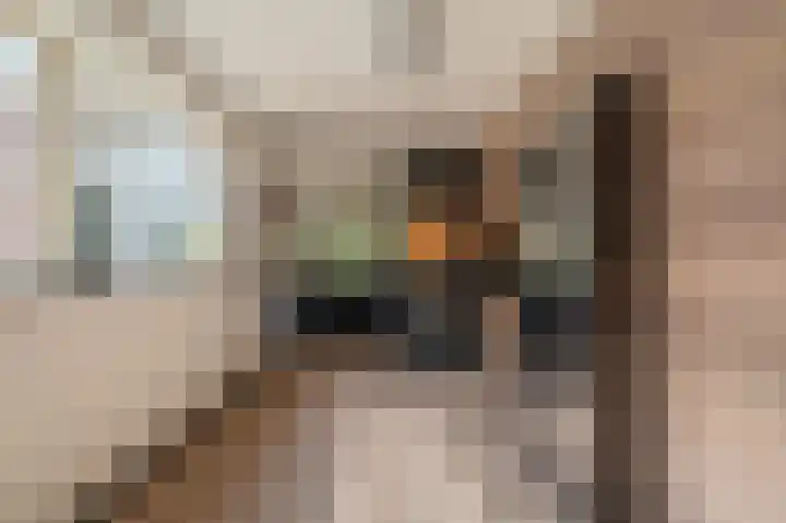 Hoofdweg 124 Bellingwolde thumbnail 32