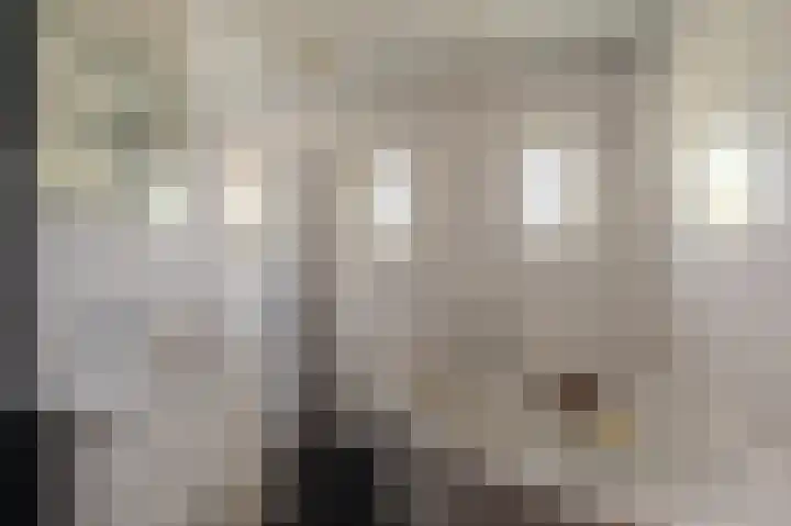 Hoofdweg 124 Bellingwolde thumbnail 36