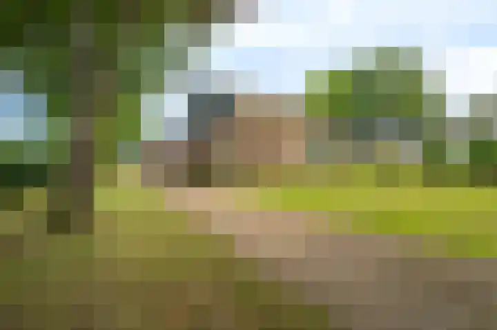 Hoofdweg 124 Bellingwolde thumbnail 4