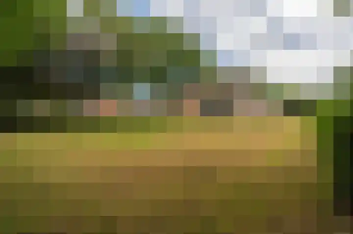 Hoofdweg 124 Bellingwolde thumbnail 5