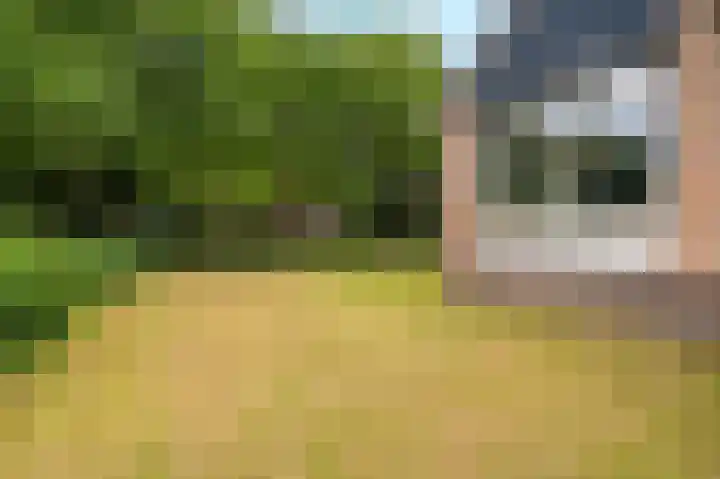 Hoofdweg 124 Bellingwolde thumbnail 7