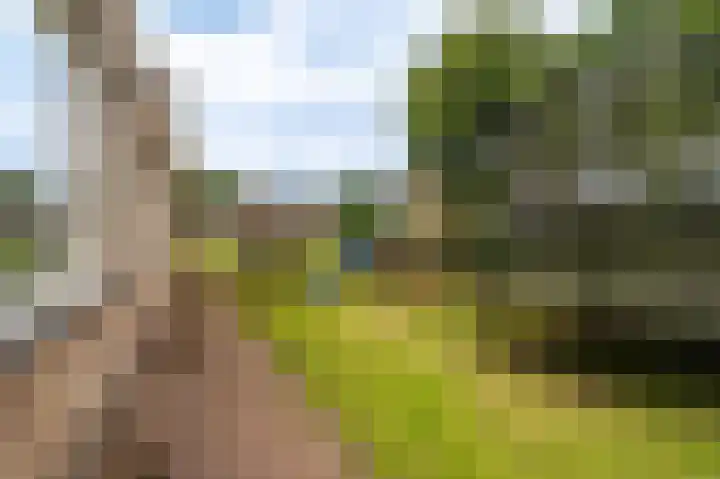 Hoofdweg 124 Bellingwolde thumbnail 8