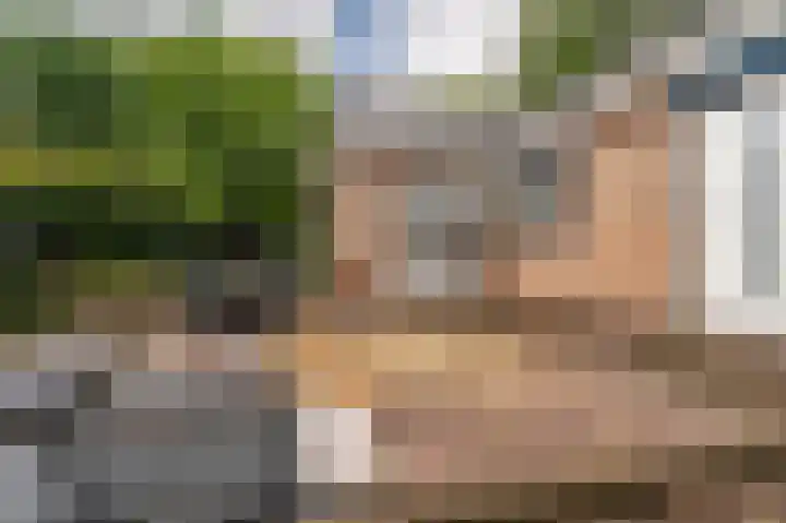Hoofdweg 124 Bellingwolde thumbnail 9