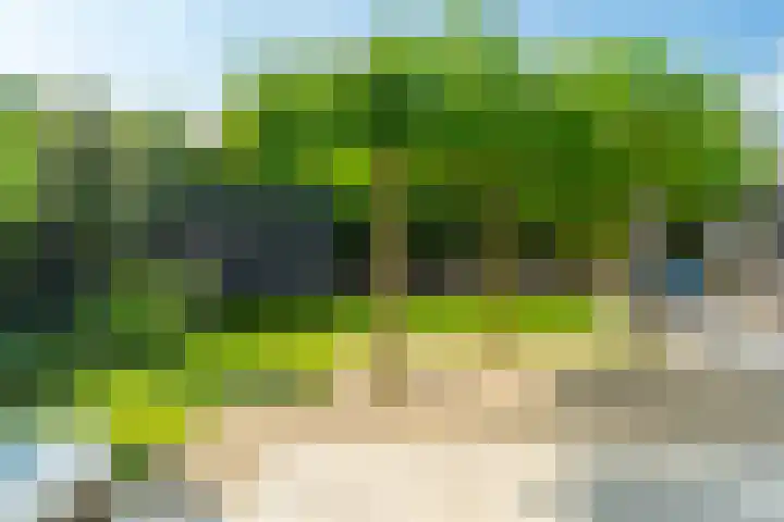 Hoofdweg 124 Eelde thumbnail 52