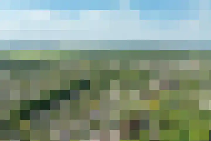 Hoofdweg 124 Eelde thumbnail 57