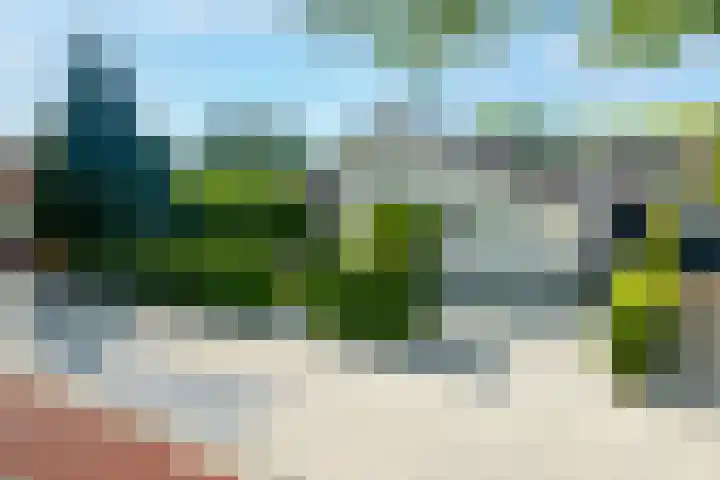 Hoofdweg 124 Eelde thumbnail 59