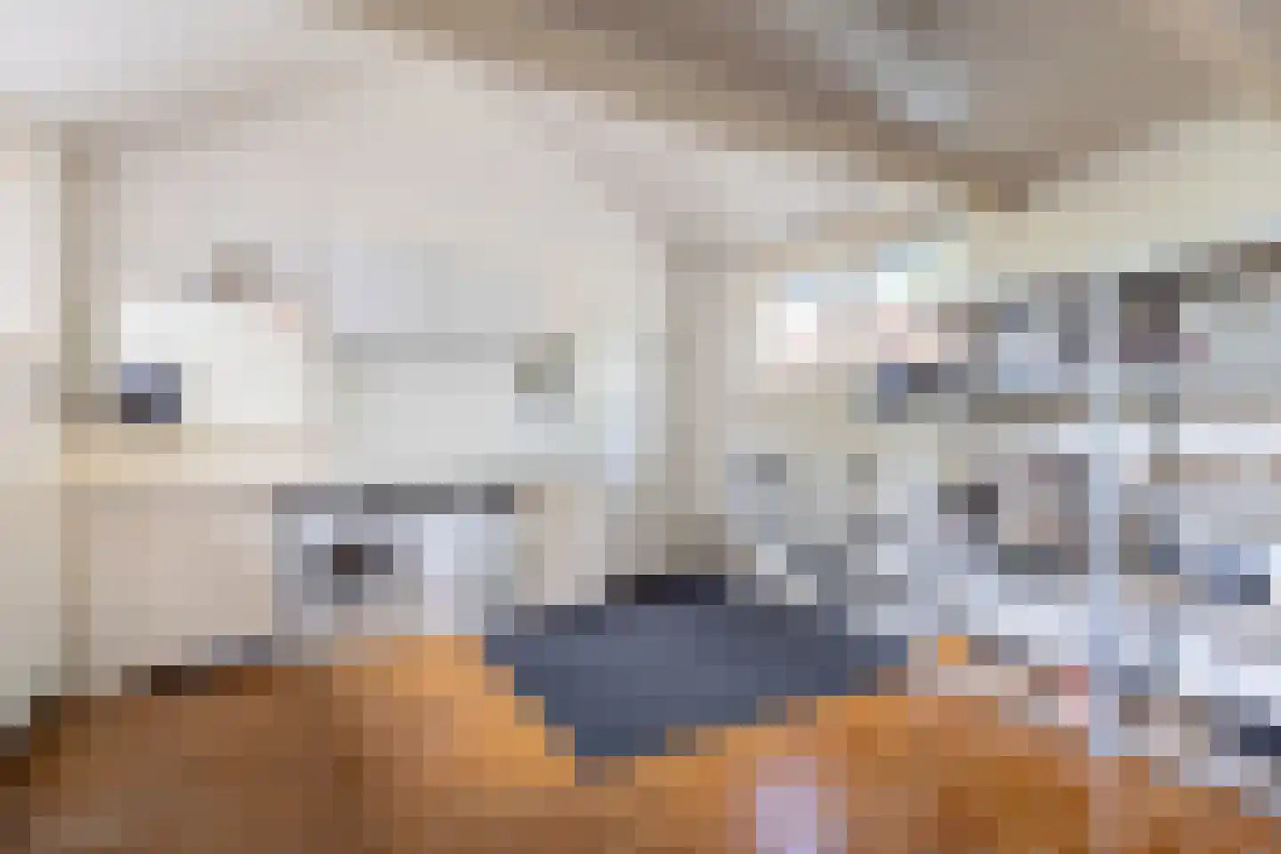 Hoofdweg 126 Kudelstaart thumbnail 32