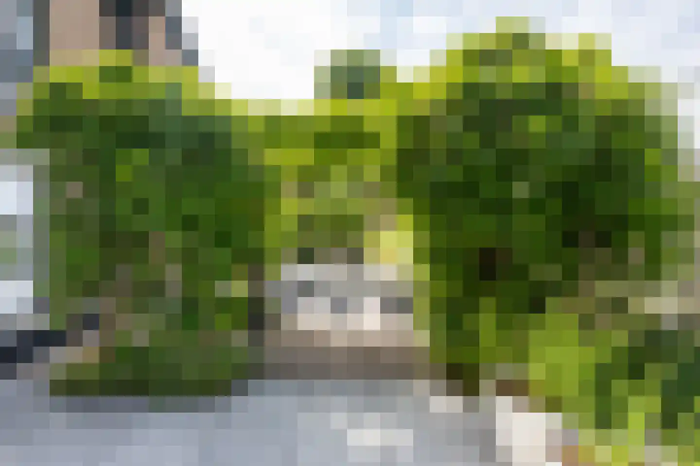 Hoofdweg 126 Kudelstaart thumbnail 34