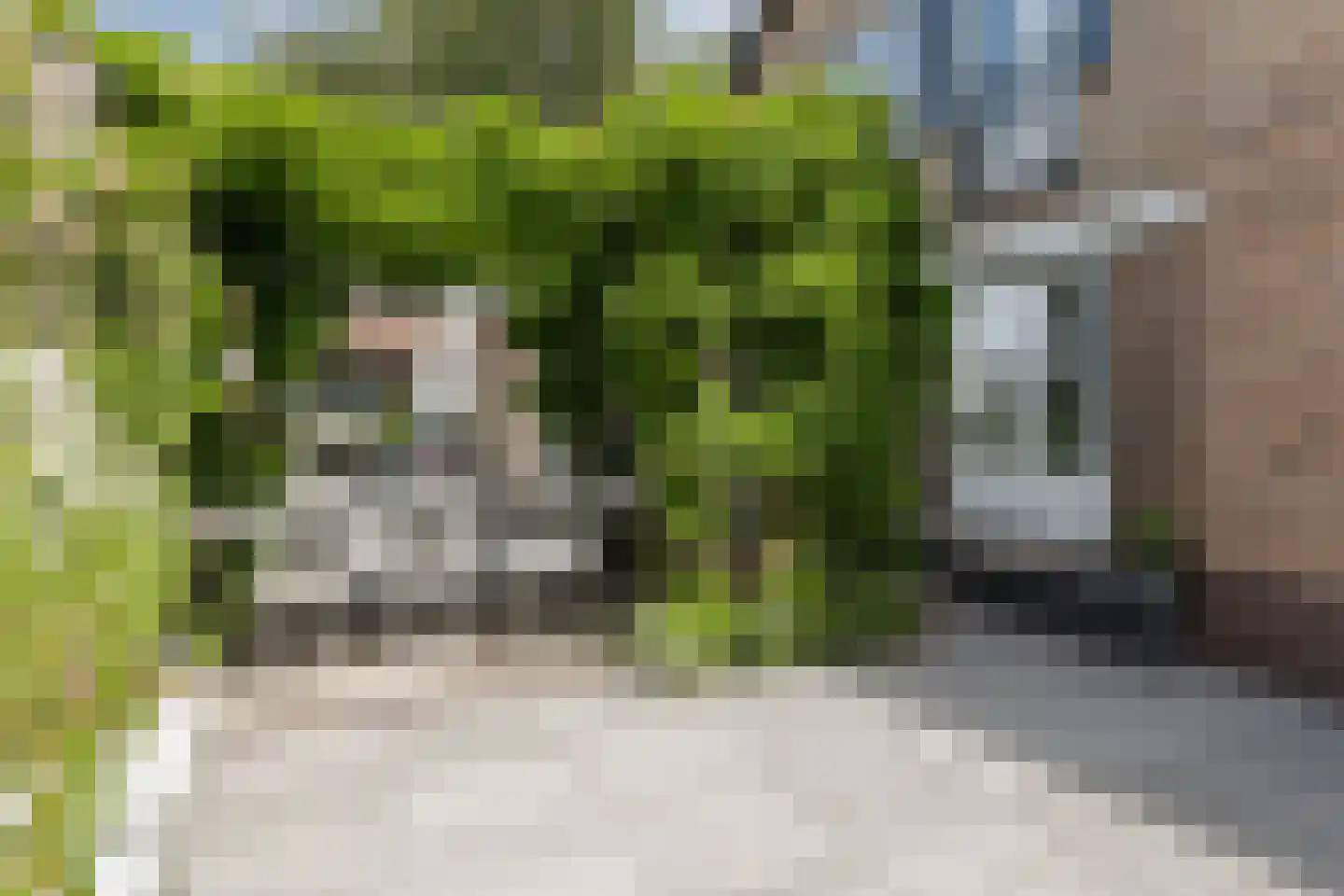 Hoofdweg 126 Kudelstaart thumbnail 36