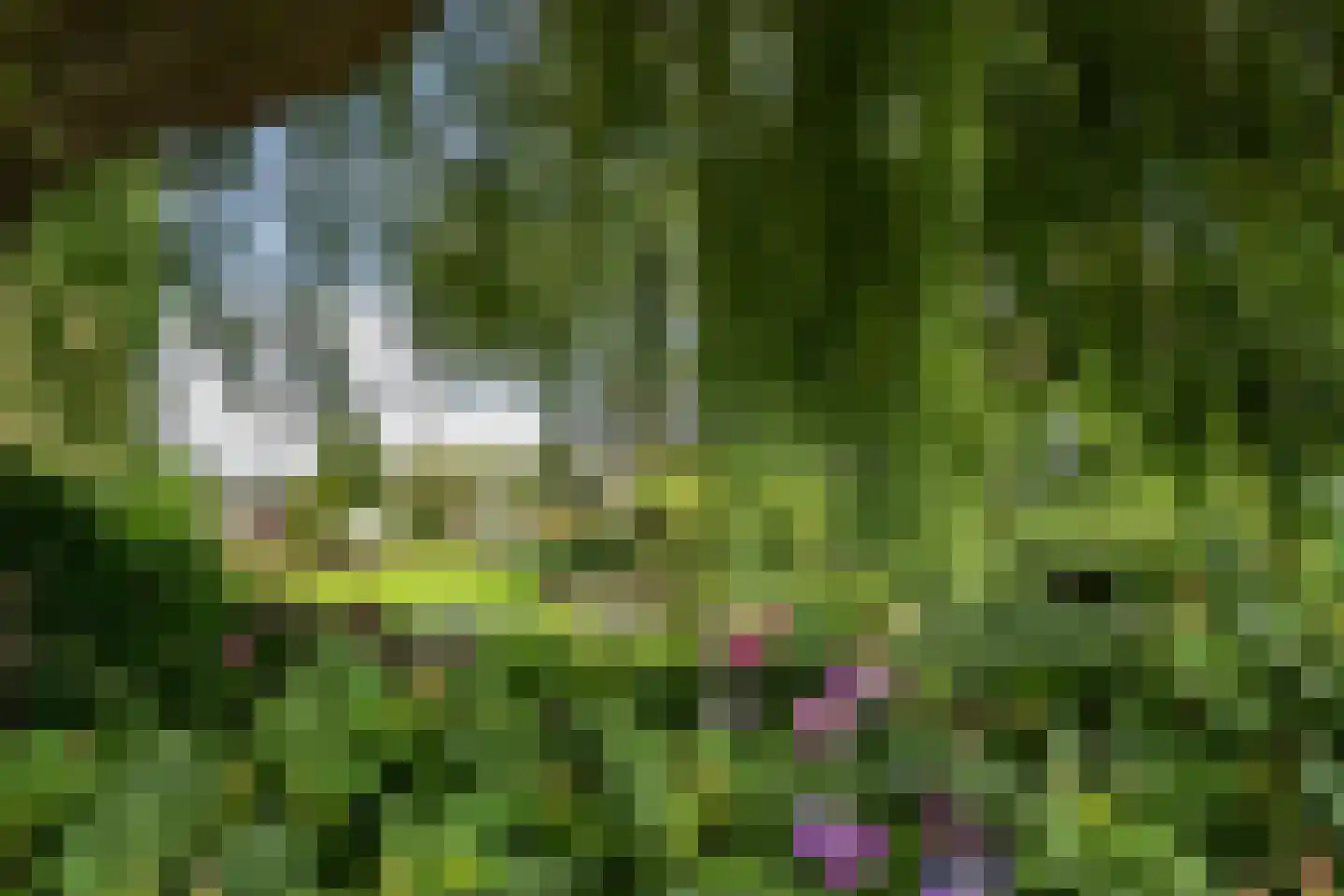 Hoofdweg 126 Kudelstaart thumbnail 45