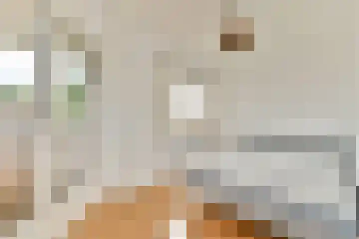 Hoofdweg 127 G Amsterdam thumbnail 13
