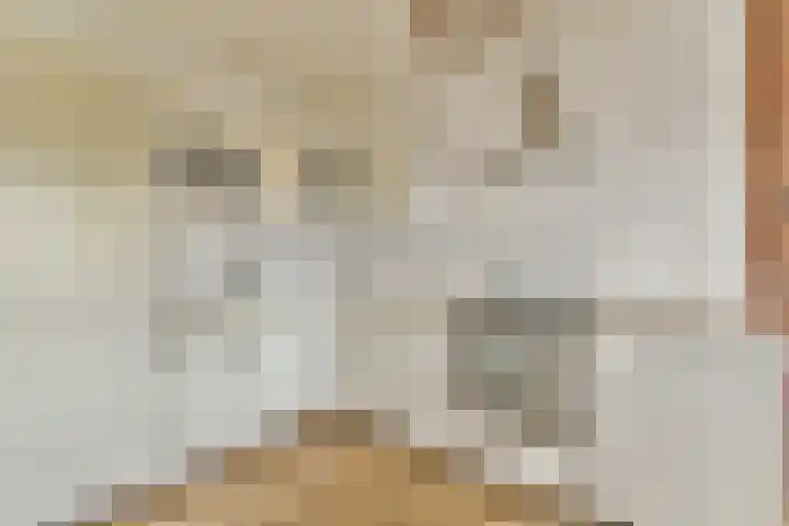 Hoofdweg 127 G Amsterdam thumbnail 9