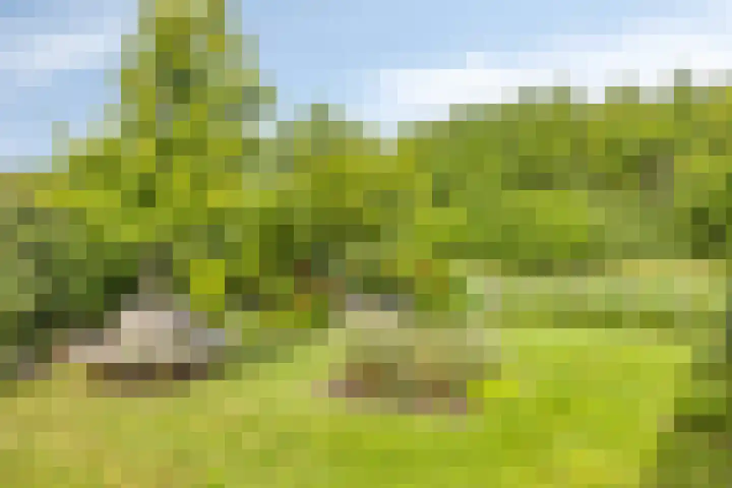 Hoofdweg 1273 Nieuw-Vennep thumbnail 34